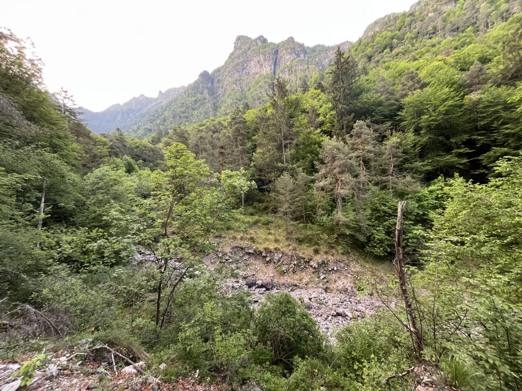 Bocca di Valle...Bondone (TN)